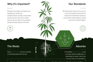 Seed to Shelf: The Colorado Botanicals Hemp Production Process