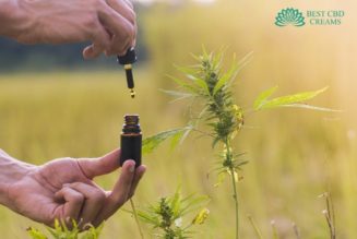 Cheap CBD Oil: How to find high-quality products for a low price using coupons and CBD discount codes