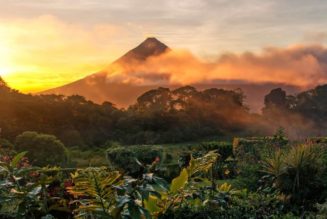 Costa Rica Moves to Legalize Medical Marijuana
