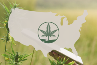 The USDA surveyed hemp growers across America. Here’s what they found.