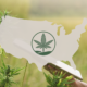 The USDA surveyed hemp growers across America. Here’s what they found.