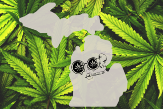Will Michigan’s new cannabis rules give delta-8 THC an edge on the recreational market?
