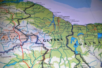 Guyana Has Plans to Develop Its Hemp Industry