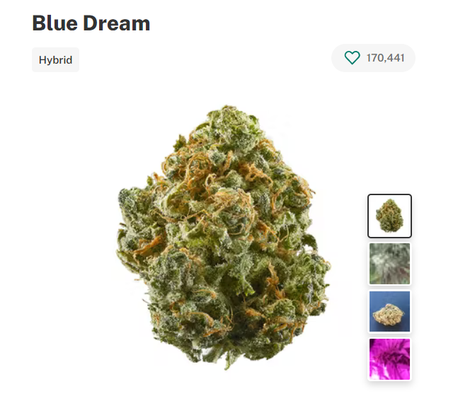 Blue Dream  