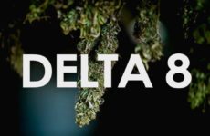 What Is Delta-8 THC and Is It Safe?