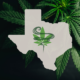 Texas Supreme Court hears arguments on ban for making and selling smokable hemp
