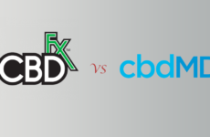 CBDfx vs. cbdMD: My Experience With Both Brands