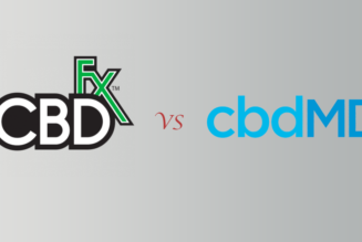 CBDfx vs. cbdMD: My Experience With Both Brands