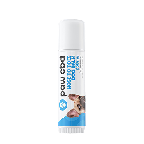 cbdMD Nose to Toes Dog Balm