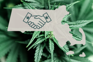 In Massachusetts, hemp and cannabis businesses strike partnerships