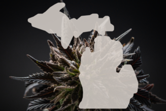 Michigan regulators shift stance on hemp-derived THC