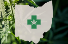Ohio’s medical cannabis program will allow hemp-derived THC
