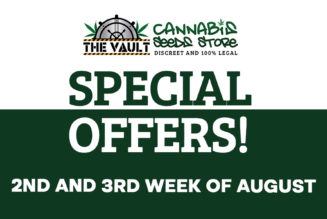 The Vault – Top Promos- 2nd and 3rd Week of August 2022!