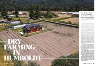 Dry Farming in Humboldt | High Times