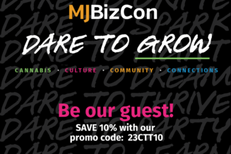 Eight Booths You Have To See During MJBizCon 2024