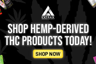Cannabis vs. Hemp: Decoding the Key Differences and Similarities
