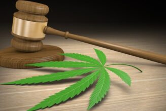 Judge backs steep fee hike for Florida medical marijuana operators