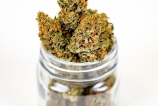 “Meet the Cannabis Press” Panel Webinar on December 12 