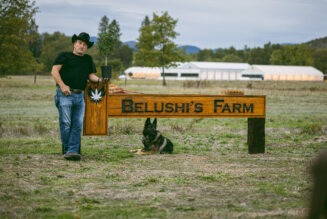 Belushi’s Farm Blooms in 14 States and Growing