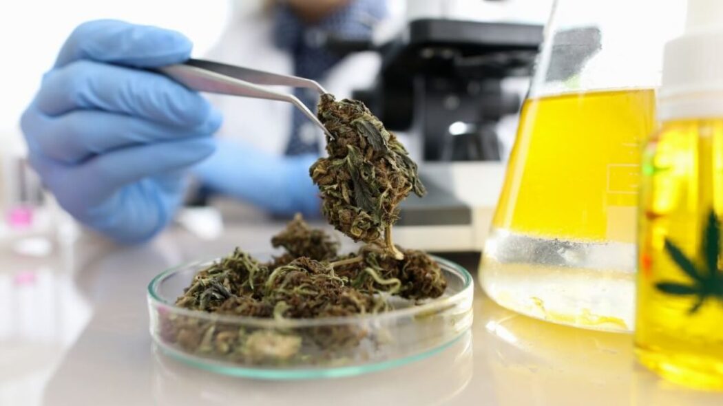 70% of medical marijuana products in Mississippi on ‘hold’ for retesting