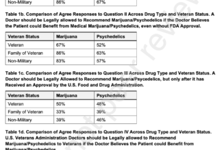 Most Military Service Members, Veterans And Their Families Support Allowing VA Doctors To Recommend Marijuana And Psychedelics