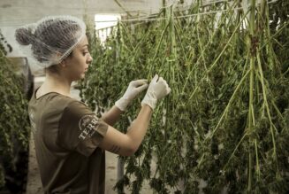FDA Officials Recommend Reclassifying Pot Under Schedule III, How That Changes Everything