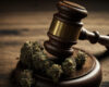 New York hit with another lawsuit challenging marijuana social equity