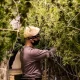 How R&D cannabis lines help cultivators conduct market research