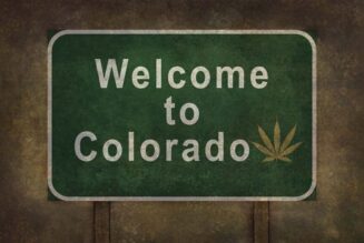 Colorado marijuana sales top $115.4 million in January