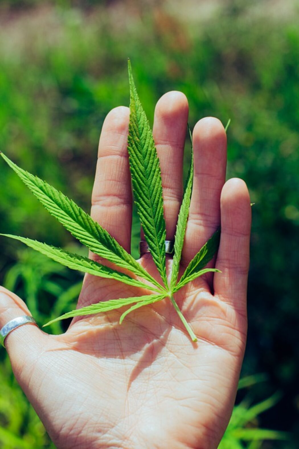 African County of Eswatini Introduces Medical Cannabis Legislation