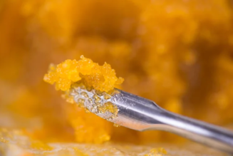 Is Live Resin the Future of Cannabis Concentrates?