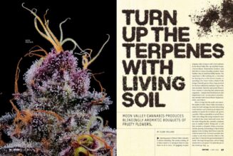 Turn Up the Terpenes With Living Soil