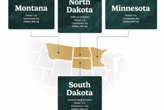North Dakota Activists File Marijuana Legalization Initiative For November Ballot