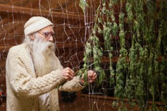 Swami Select: Nurturing cannabis with intention and spirituality