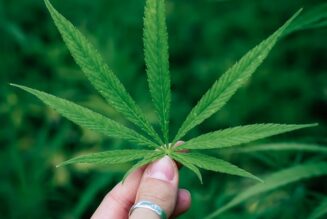 ‘Little Evidence’ That Cannabis Harmfully Impacts Cognition in People with HIV