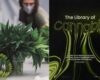 The Library of Cannabis