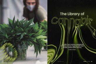 The Library of Cannabis