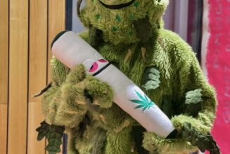 Motitaman, el Superhéroe 420 que Lucha por la Legalización del Cannabis