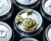 Connecticut, Iowa pass new hemp restrictions, low-dose beverages are safe