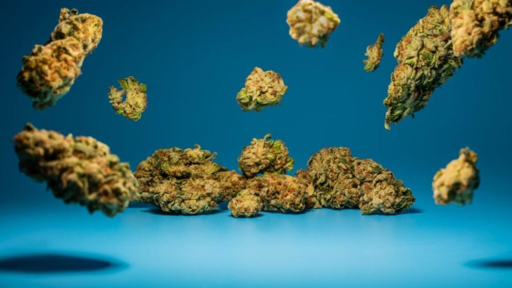 Average THC potency of illicit marijuana flower is 16%, DEA says