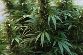 DEA Reportedly Set to Reschedule Cannabis to Schedule III