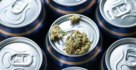 New Connecticut law restricts THC beverage sales to liquor, cannabis stores