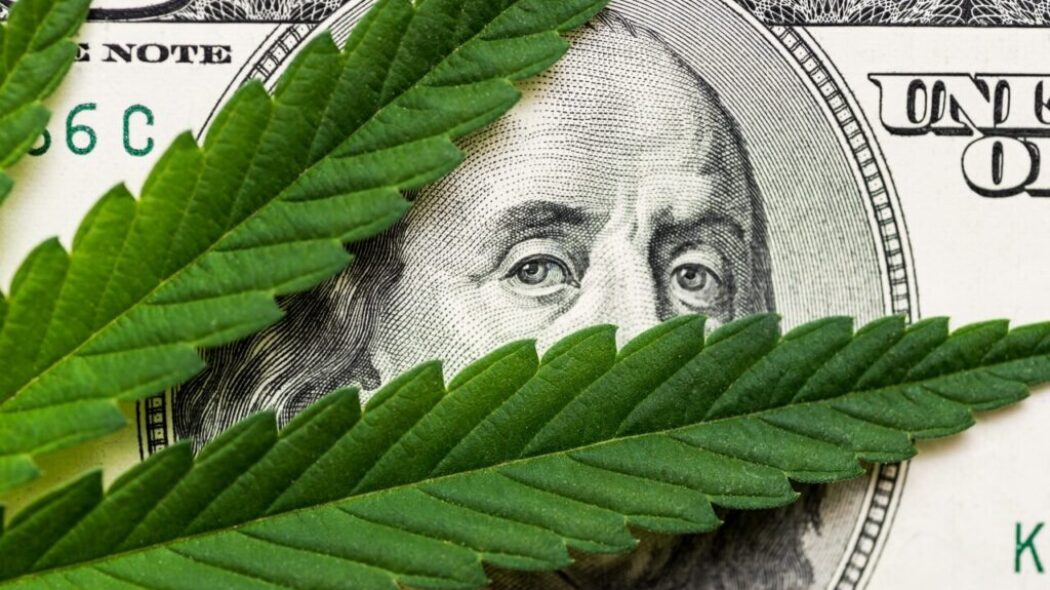 Florida recreational cannabis legalization opponents get $12 million donation