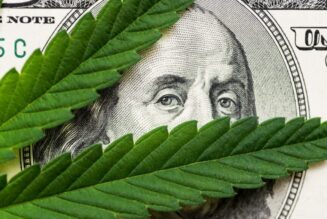 Florida recreational cannabis legalization opponents get $12 million donation