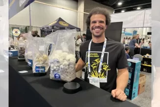 Q&A with Wonderbags founder Zach Dorsett