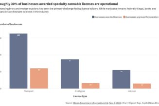 Illinois Officials Tout Diversity In Marijuana Industry Ownership, But Many Businesses Have Yet To Become Operational