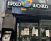 New York City’s illicit marijuana crackdown is unconstitutional, judge rules