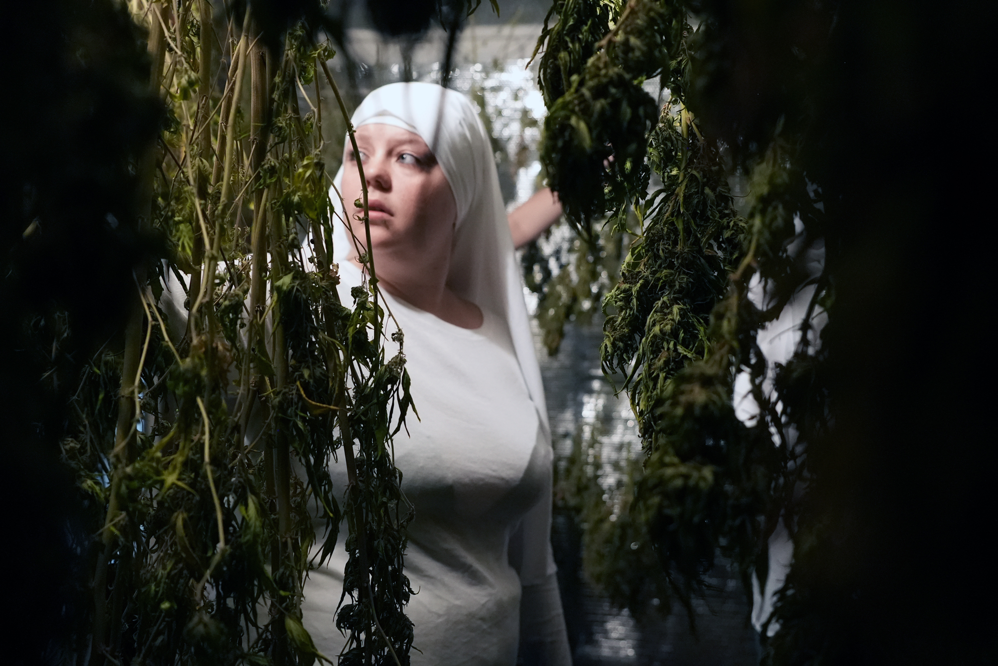 sisters of the valley paul thomas anderson