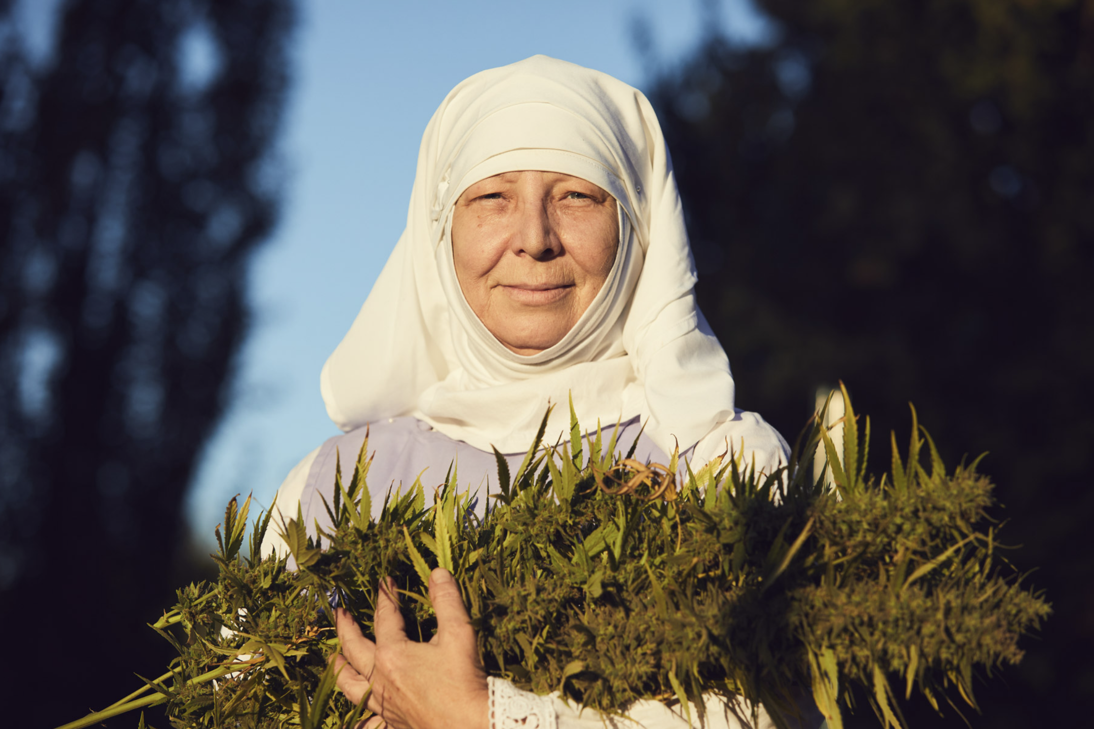 sisters of the valley paul thomas anderson