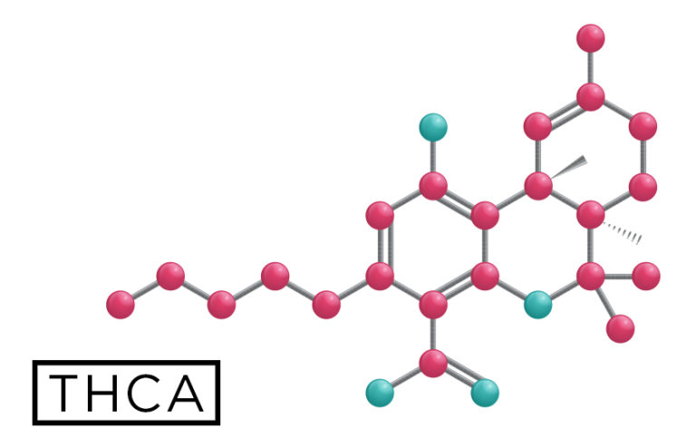 Click to see a larger version of the image THCA molecule